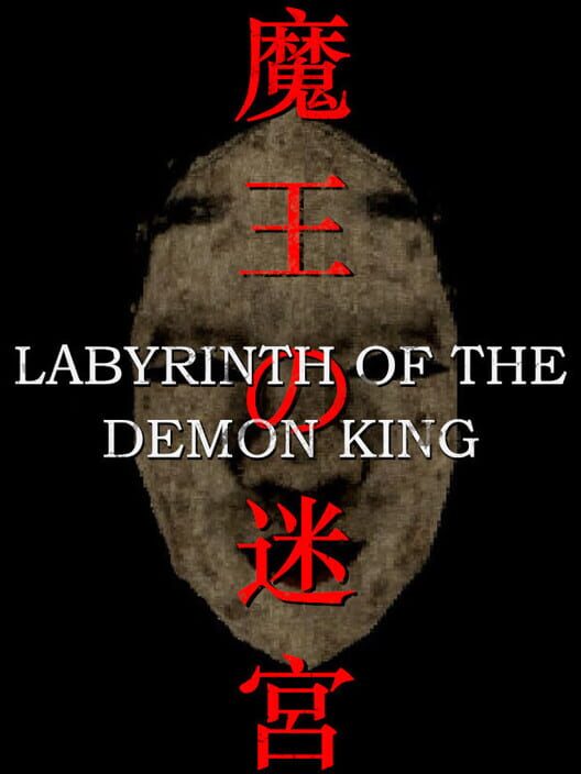 Labyrinth of the Demon King — PS4 2025 — NTSC-U
