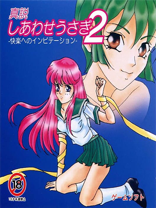 Shinsetsu Shiawase Usagi 2 — TG-CD 1996 — NTSC-U