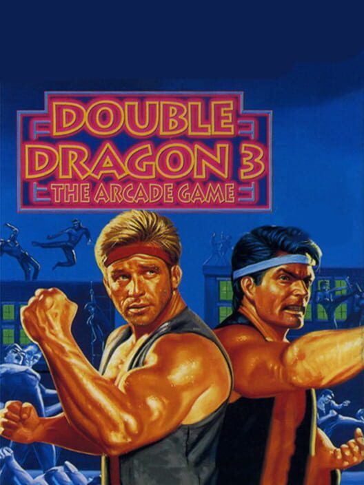 Double Dragon 3: The Arcade Game — Game Boy 1993 — NTSC-U